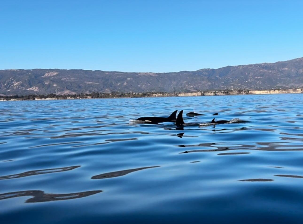 SB Boat Charters
