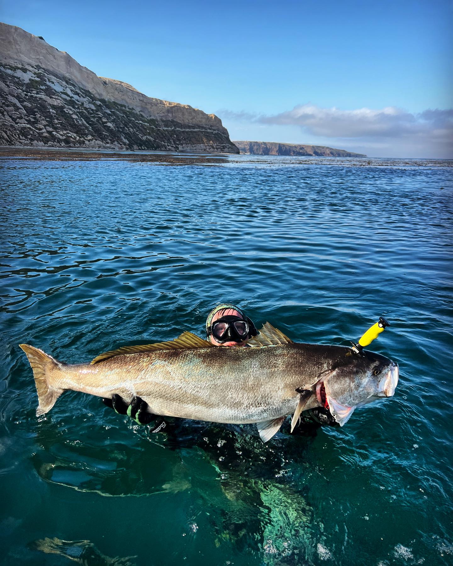 SB Boat Charters