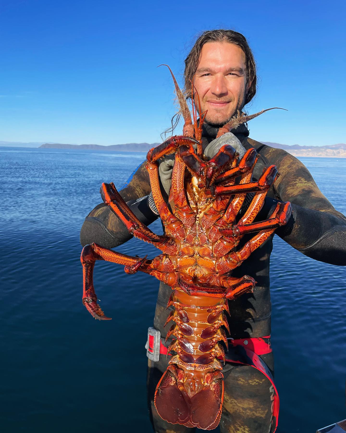 Lobster Diving